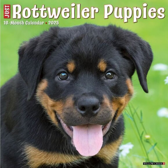 Other - Just Rottweiler Puppies 2025 Wall Calendar 12"